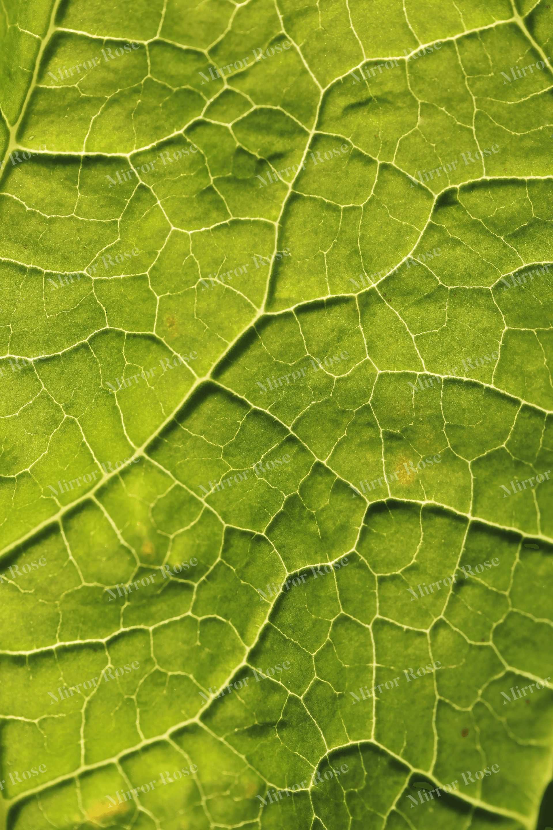 intricate nordic leaf texture