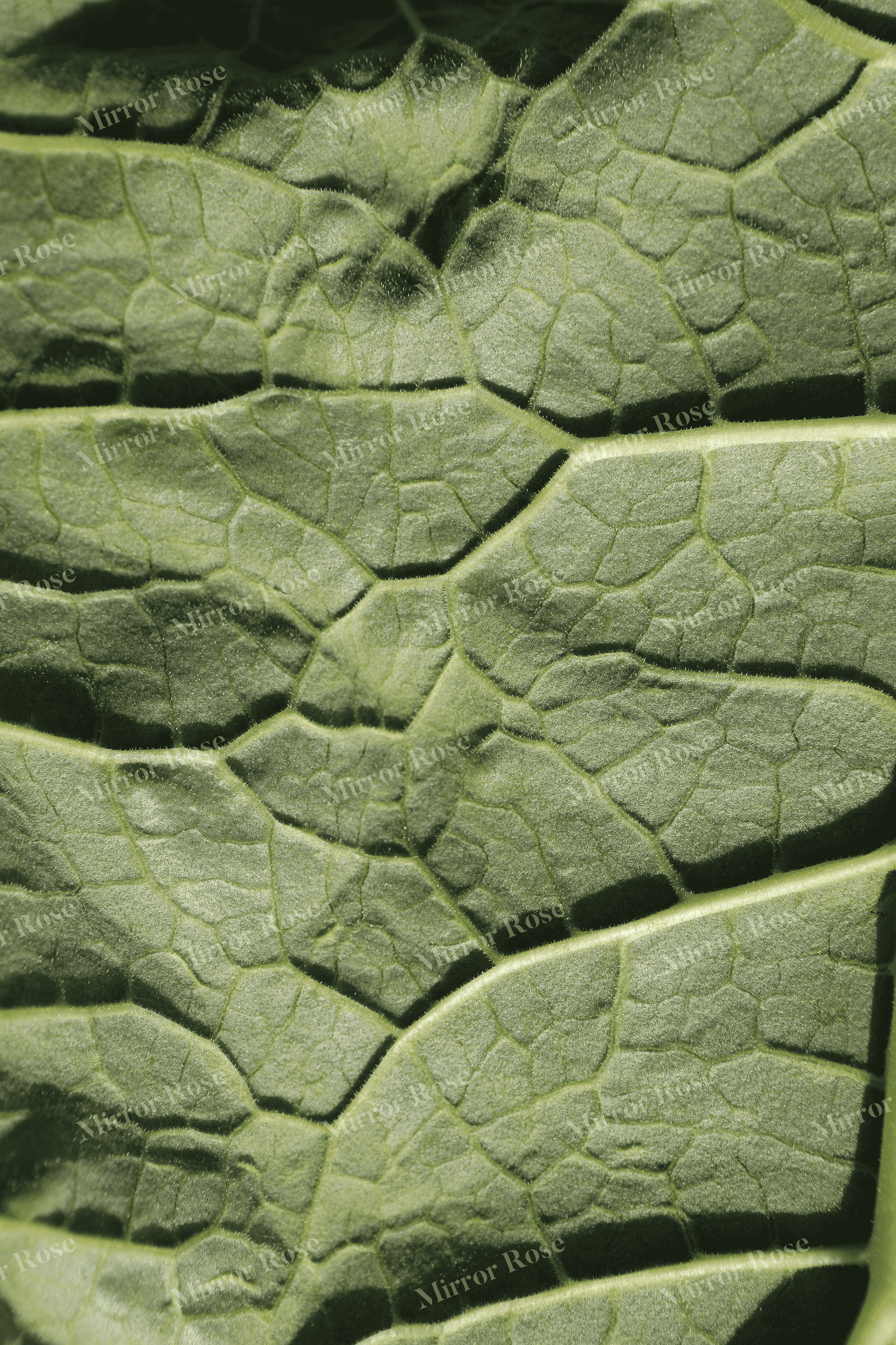 Leaf texture with nordic inspiration