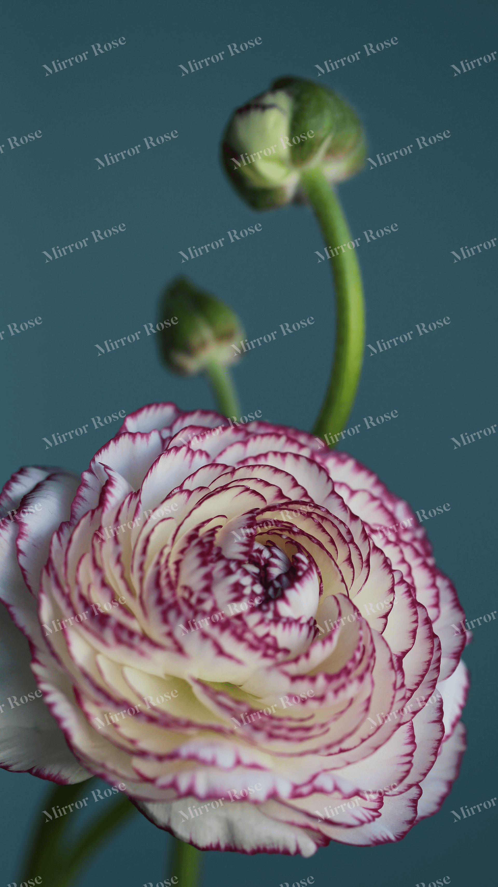 elegant nordic floral beauty