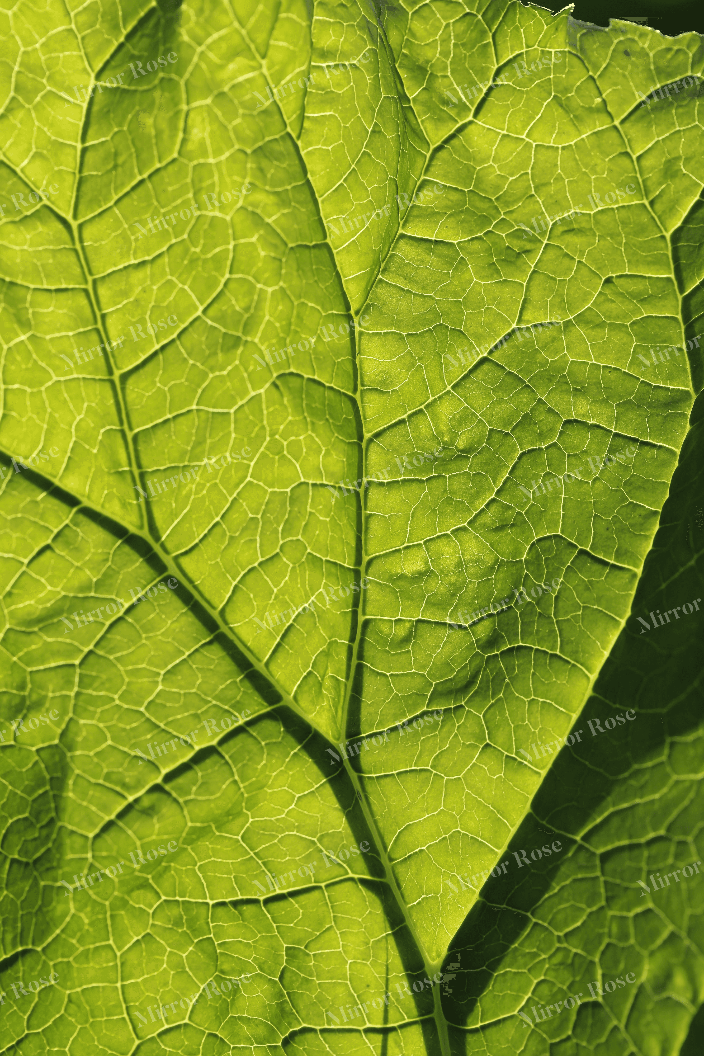 lush green nordic leaf patterns