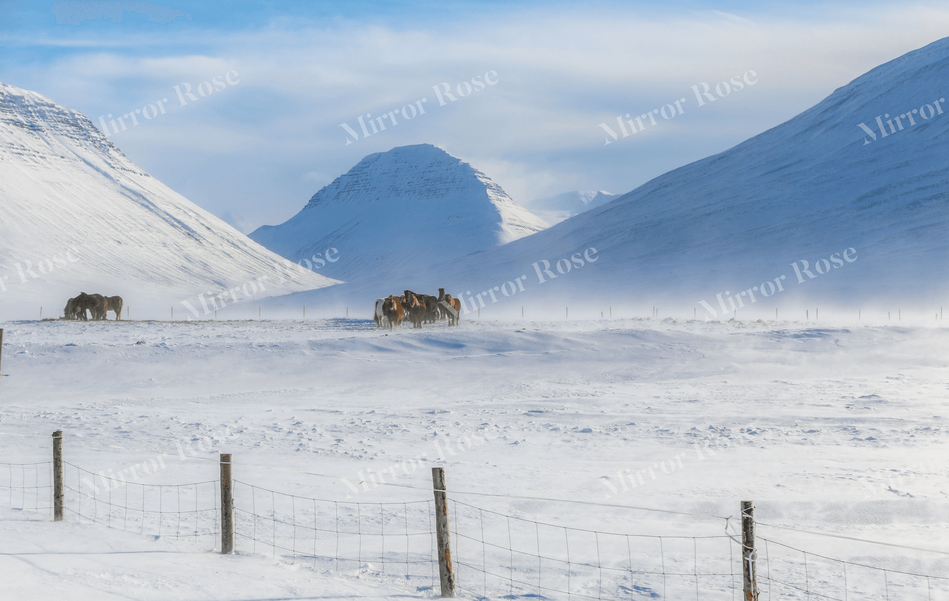 majestic nordic landscape with icelandic horses