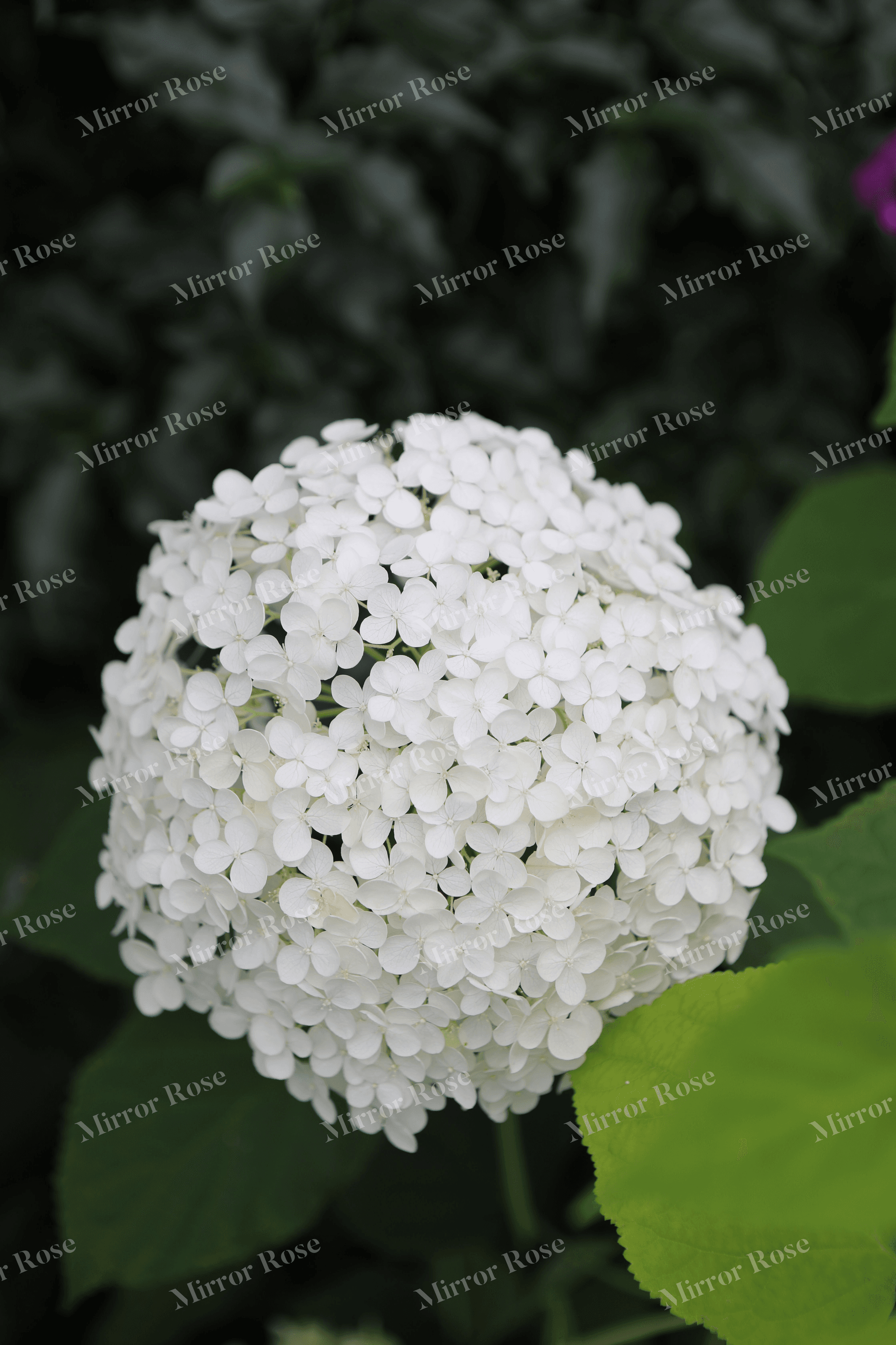 elegant nordic floral arrangement